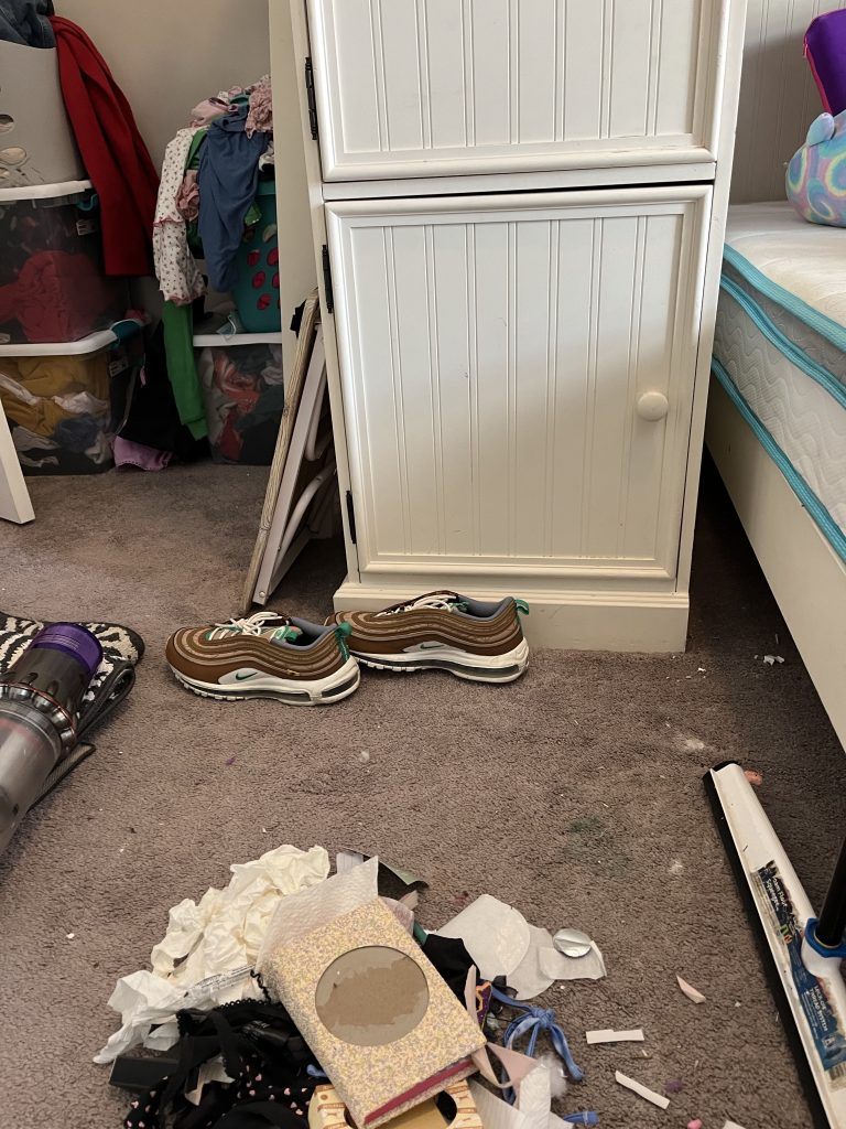 Precision Cleaning Services